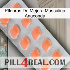 Píldoras De Mejora Masculina Anaconda 26